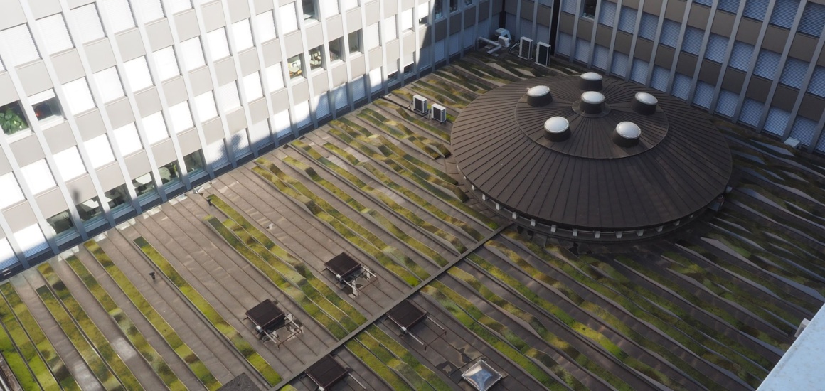 Formes sur un toit à Genève