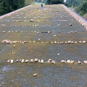 Après le premier été (sep-22)