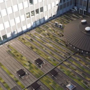 Formes sur un toit à Genève
