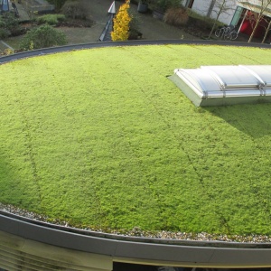 Roof in Hannover