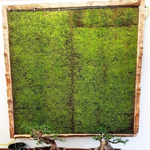 Indoor irrigated panel