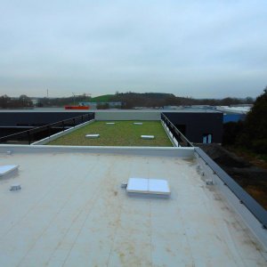 600m² végétalisés