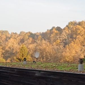 Chalet de 100m² dans le Perigord - Parement végétal lesté